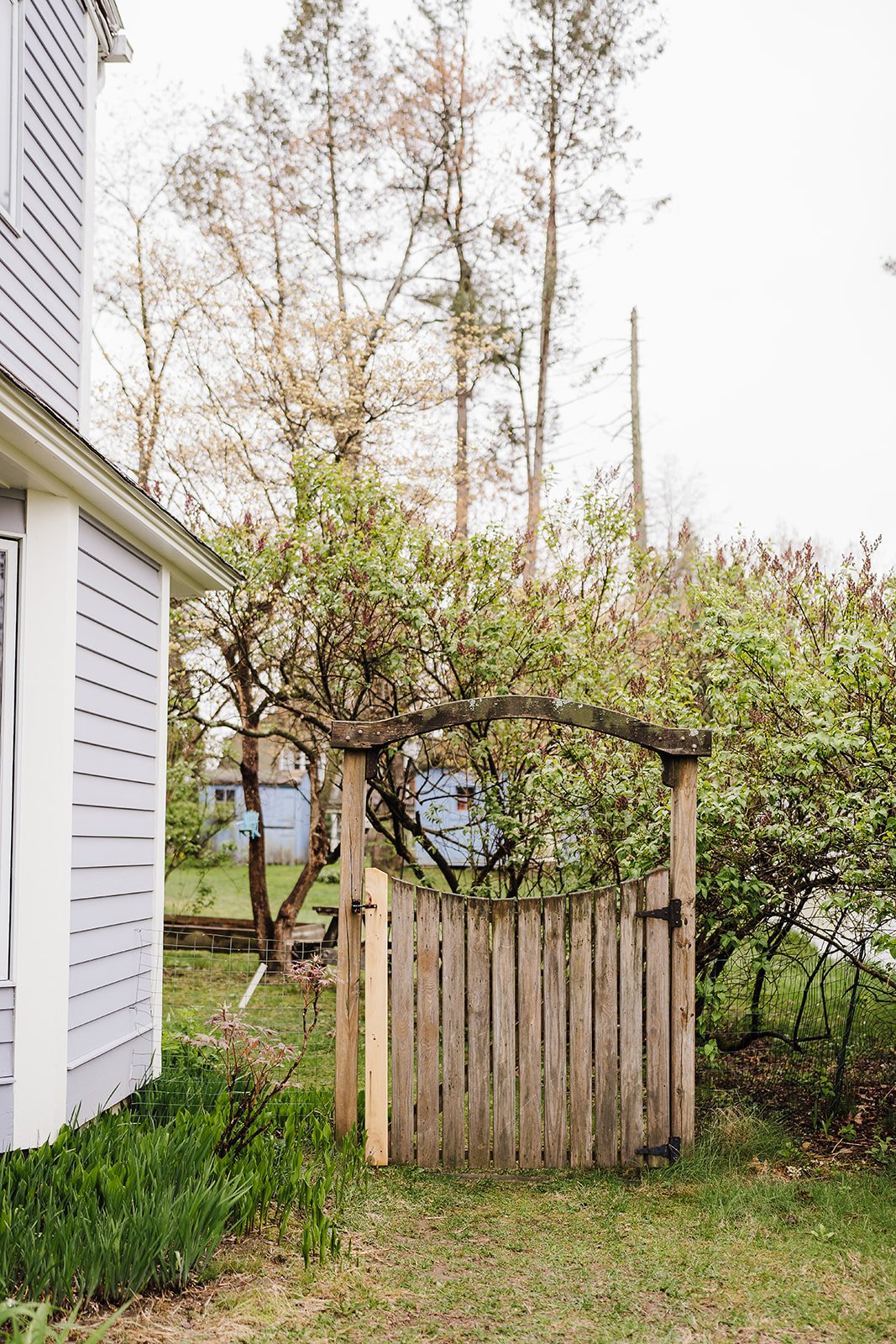 Catherine Newman house tour